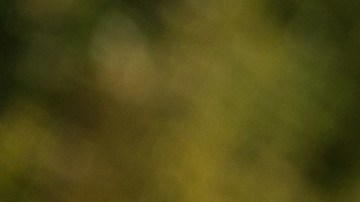 leyes para uso de bicicletas en Carolina del Norte