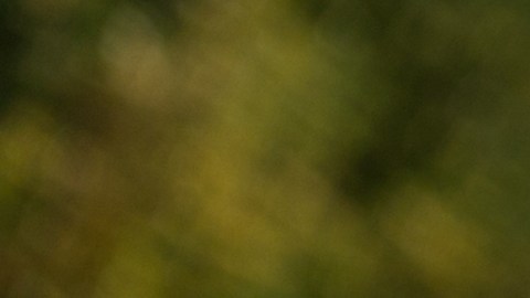 leyes para uso de bicicletas en Carolina del Norte
