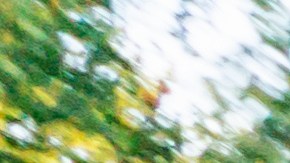 Las colisiones de autos suceden por descuido de los conductores.