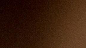 licencia de conducir suspendida