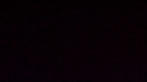 designaciones obligatorias en la licencia de florida