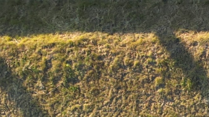 permiso para personas discapacitadas