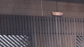 Ford F-150 Lobo 2025 es la versión urbana de la pick-up más vendida de la marca.