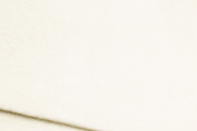 Los pilotos de Genesis Magma Racing participaron en Le Mans con el equipo IDEC Sport de la LMP2.