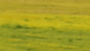 Una fuerte caída de importaciones de autos ocurre en Estados Unidos debido a aranceles.