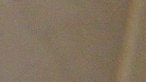 ley maría en washington