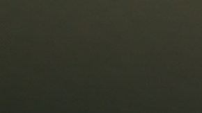 licencia vigente en estados unidos