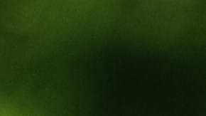 parada de emergencia en la carretera