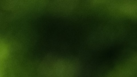 parada de emergencia en la carretera