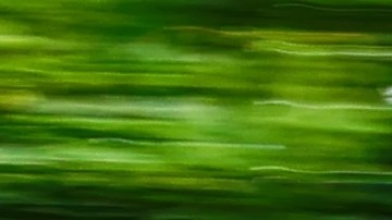 ¿Qué pasa si transportas indocumentados en tu coche?