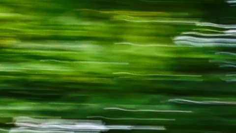 ¿Qué pasa si transportas indocumentados en tu coche?