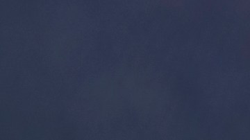 registro de votantes en licencia