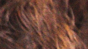 Suscripción de autos: la nueva forma de movilidad en EE.UU.