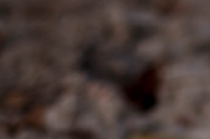 casco y accesorios para motociclistas