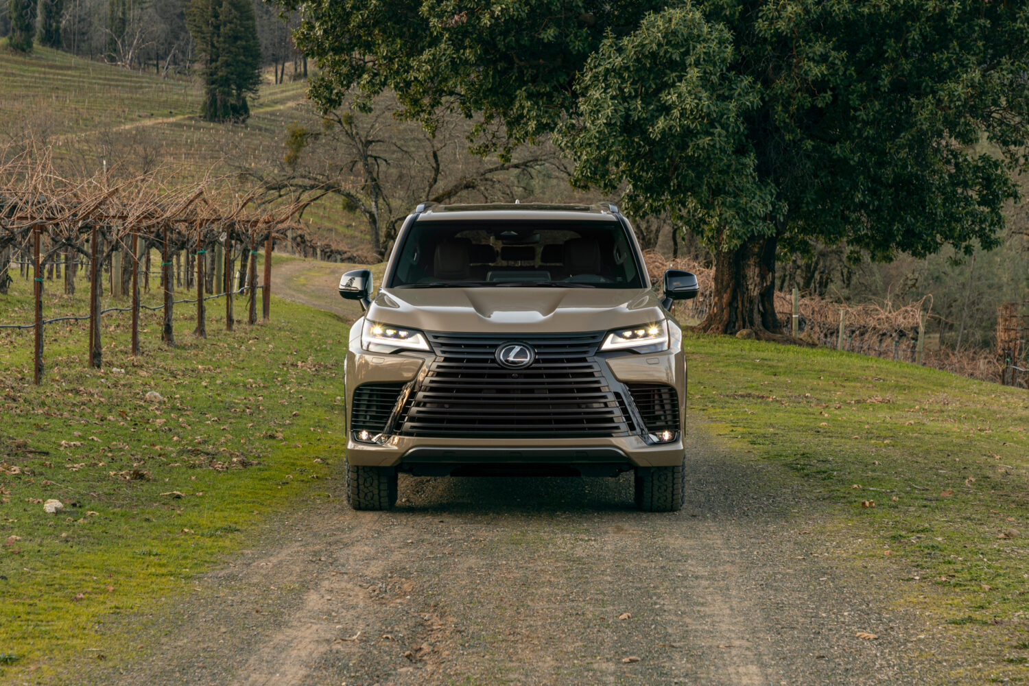 SUV híbrido de lujo: Lexus LX 700h Overtrail combina estilo y aventura.