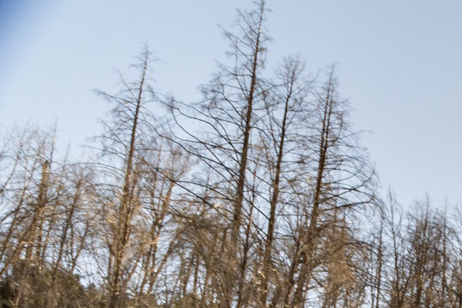 Lexus LX 700h Overtrail 2025: Lujo y potencia híbrida en un SUV todoterreno.