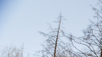 Lexus LX 700h Overtrail 2025: Lujo y potencia híbrida en un SUV todoterreno.