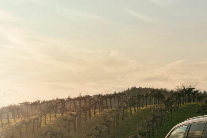 Descubre el Lexus LX 700h: un Toyota Land Cruiser reinventado con elegancia.