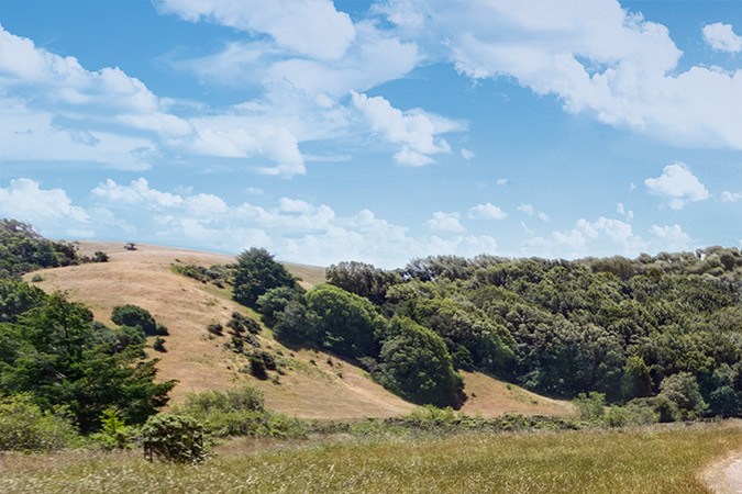 Subaru Uncharted se estrena para 2026.