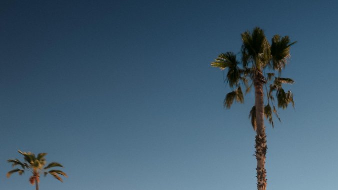 ¿Cuánto cuesta el Porsche 911 ahora? Conoce el impacto del aumento.