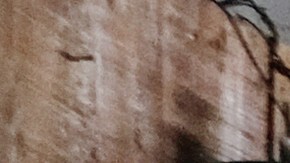 Los bancos de trabajo de 2025 que todo aficionado al bricolaje necesita en su garaje.