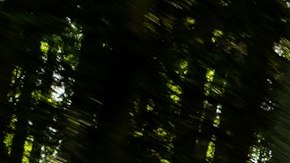 Bugatti W16 Mistral recibe una estricta prueba de calidad antes de su entrega.