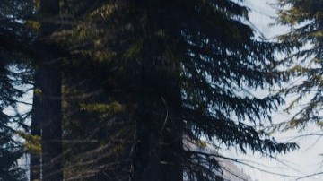 Ford Bronco New Energy vendrá en versión híbrida enchufable y eléctrica.