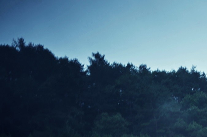 Hyundai Elantra N TCR Edition se venderá solo en Canadá.