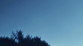 Hyundai Elantra N TCR Edition se venderá solo en Canadá.