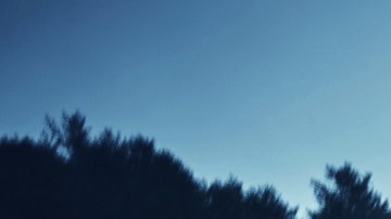 Hyundai Elantra N TCR Edition se venderá solo en Canadá.