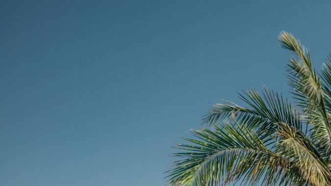 Porsche 911 Targa 4S 2026 logra más potencia.