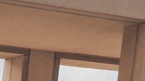 Toyota RAV4 2025 híbrido: especificaciones