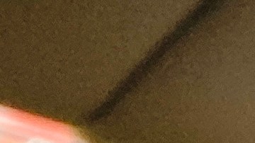 Los aromatizantes para autos tienen un gran número de aromas.