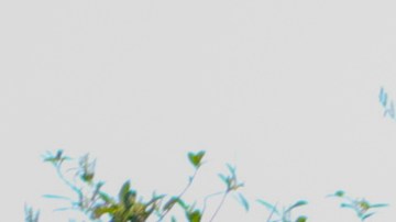 camión de helados detenido