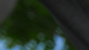 Trucos para cargar tu EV más rápido sin dañar su batería