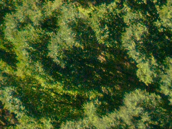 carretera doble sentido rural