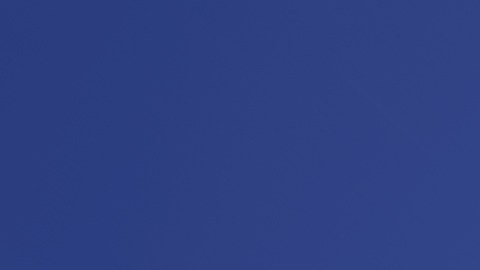 choque con venados en California