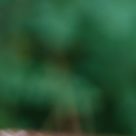 Nueva ley de seguros de auto 2026: límites en reclamos médicos.