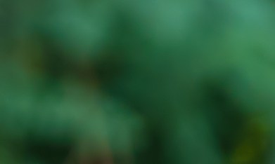 Nueva ley de seguros de auto 2026: límites en reclamos médicos.