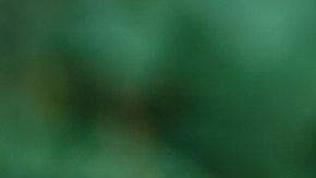 Nueva ley de seguros de auto 2026: límites en reclamos médicos.