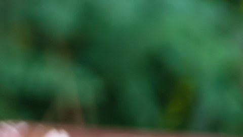 Nueva ley de seguros de auto 2026: límites en reclamos médicos.