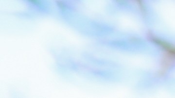 trámites para la compra de auto en el DMV