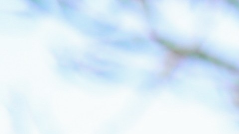 trámites para la compra de auto en el DMV