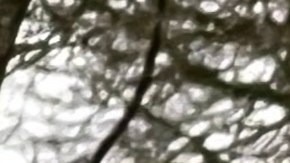 Conducir cerca de ciclistas