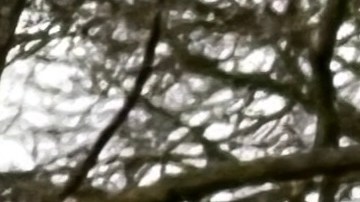 Conducir cerca de ciclistas