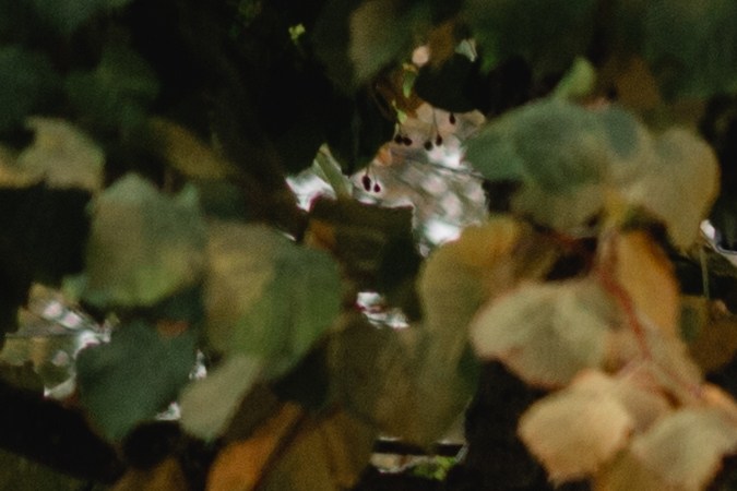 conducir cerca de ciclovía