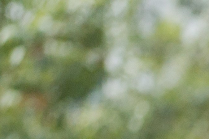 conducir en zonas escolares