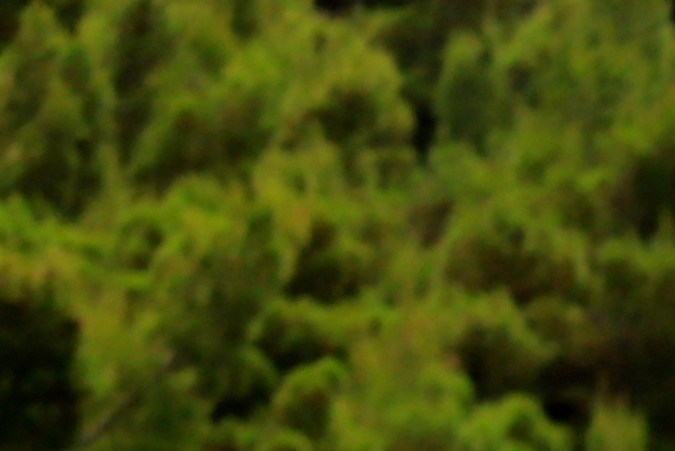 vías de conducción rápida