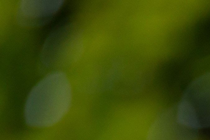 qué hacer como peatón