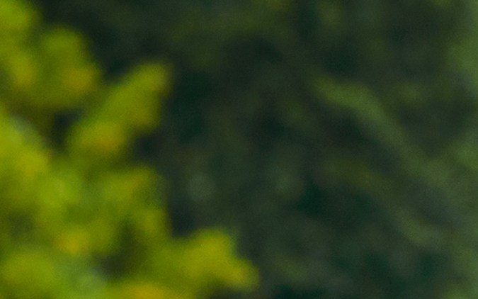 policía de tránsito